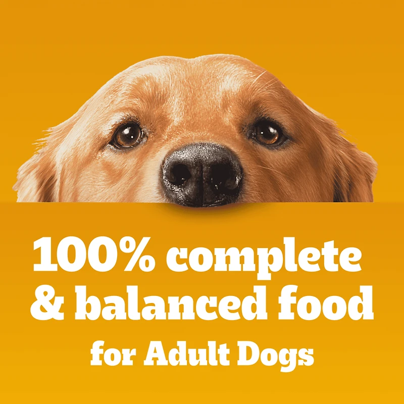 Nourriture humide pour chiens adultes PEDIGREE COUPES DE CHOIX AU JUS saveur de bœuf, nouilles et légumes et saveur de poulet grillé en format variété