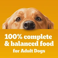 Nourriture humide pour chiens adultes PEDIGREE COUPES DE CHOIX AU JUS saveur de bœuf, nouilles et légumes et saveur de poulet grillé en format variété