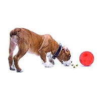 Omega Paw Tricky Treat Medium Size Ball Dog Toy