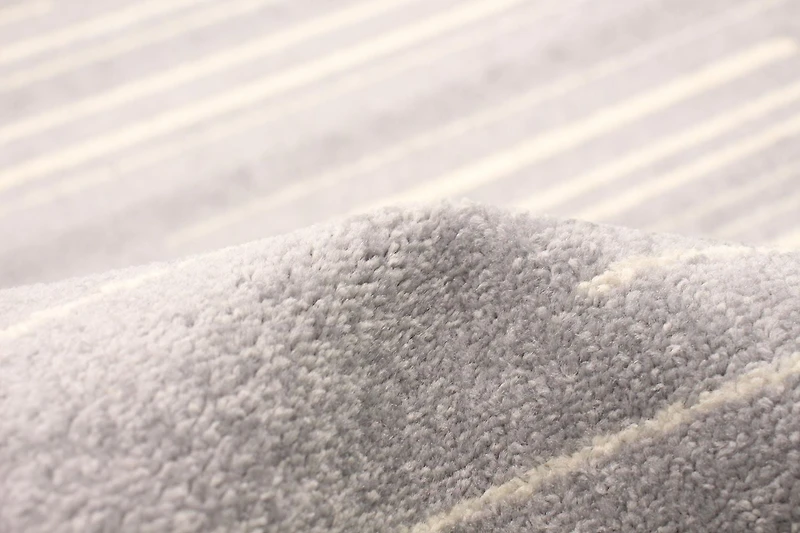 ECARPET Striped Area Rug