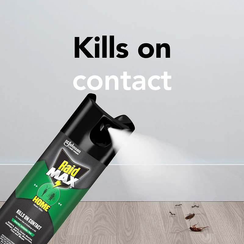 Insecticide Raid Max contre les insectes domestiques, tue les insectes en question par contact, pour utilisation à l’intérieur et à l’extérieur, 500 g 500 g