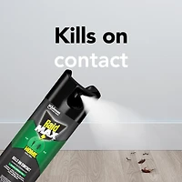 Insecticide Raid Max contre les insectes domestiques, tue les insectes en question par contact, pour utilisation à l’intérieur et à l’extérieur, 500 g 500 g
