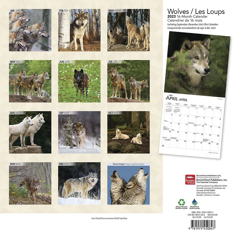 Wolves | Les Loups | 2023 12x24 Inch Square Wall Calendar