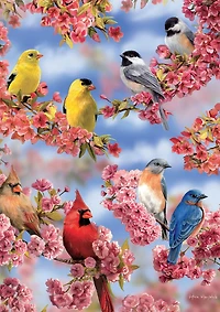 Buffalo Games - Le puzzle Large Pieces - Blossoms and Birds - en 300 pièces