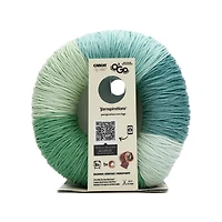 Caron® Big Donut O'Go™ #4 Worsted (Medium) Acrylic Yarn, 9.9oz/280g 533 Yards