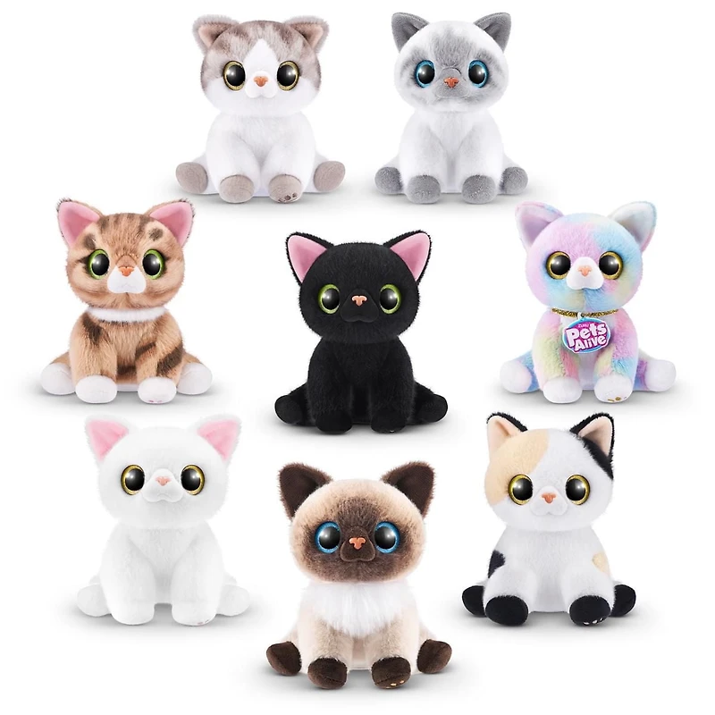 Chaton d'amour Pets Alive