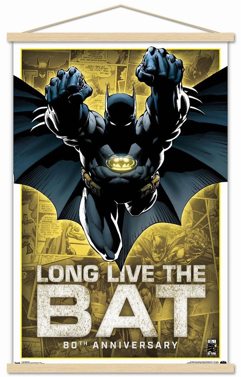 DC Comics - Batman - 80th Anniversary Wall Poster, 22.375" x 34"