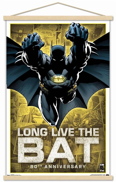 DC Comics - Batman - 80th Anniversary Wall Poster, 22.375" x 34"