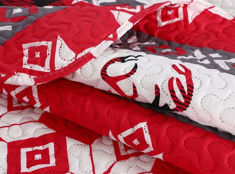 Marina Decoration Rich Printed Embossed Pinsonic Coverlet Bedspread Ultra Soft Bedding Summer Christmas Quilt Set with Shams, Xmas Snowflake and Deer Pattern