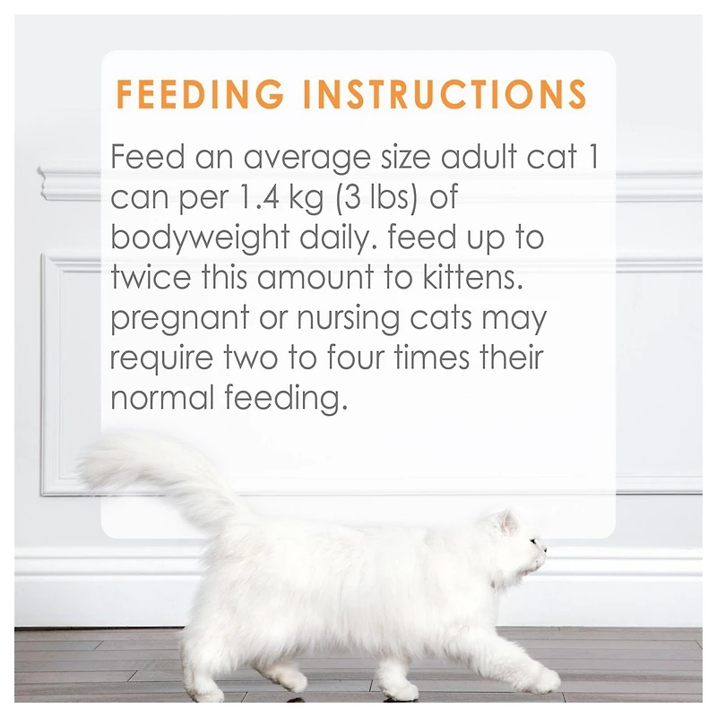 Fancy Feast Grilled Salmon in Gravy, Wet Cat Food 85g, 85g