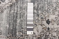 ECARPET Vintage Oriental Area Rug for Living Room Bedroom
