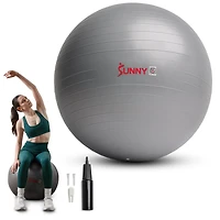 Balle de yoga premium Sunny Health & Fitness de 55 cm, anti-burst et extra épaisse. Idéale pour l’entraînement, la grossesse, la kinésithérapie et la stabilité sur chaise. Inclut une pompe