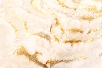 ECARPET Tapis Contemporain/Moderne Clara pour Salon, Chambre, Salle A Manger, Entrée, Couloir et Plus Encore.