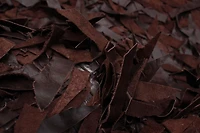 ECARPETGALLERY Timeless Dark Brown Rug 4'0" x 6'0"