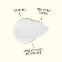 Sun Bum Original 'Face 50' SPF 50 Sunscreen Lotion