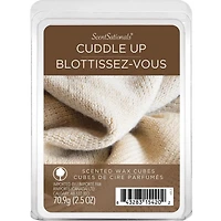 ScentSationals, Scented Wax Cubes, Cuddle Up, 2.5 oz (70.9 g)