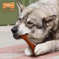 Nylabone Power Chew Bison Bone Alternative Chew Toy Bison Flavor Large