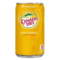Canada Dry® Tonic Water 222 mL Mini-Cans, 6 Pack, 222mL x 6