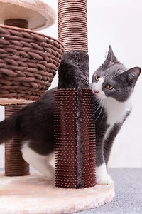 Catry Pharaoh Arbre à chat écologique tissé à la main avec griffoirs