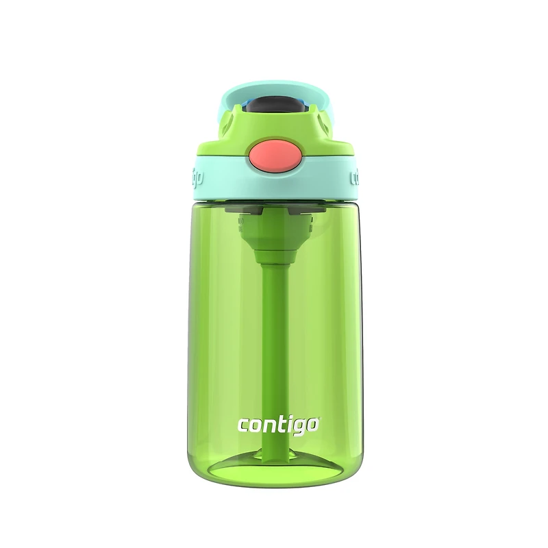 Bouteille d’eau pour enfants Contigo Aubrey avec paille, antifuite et antidéversement, lime fraîche vigne jade 414 ml (14 oz )