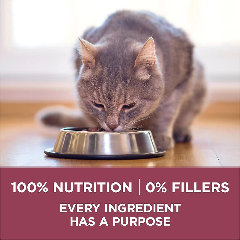 Purina ONE +Plus Chats Âgés 7+ Poulet, Nourriture Sèche pour Chats 1,8 kg 1,8kg