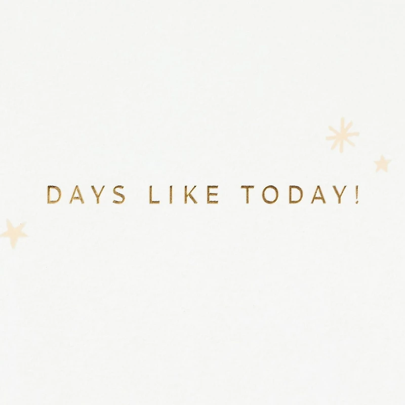 Hallmark Signature Pack of 4 Birthday Cards, Congratulations Cards, Graduation Cards (Some Days Call for a Celebration)
