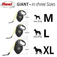 Flexi Giant Moyen 8m Bande Rétractable Chien Laisse