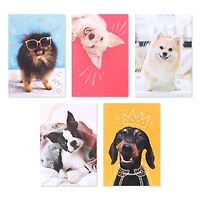 American Greetings - Assortiment en boîte de 15 cartes sans texte et enveloppes, chiens amusants