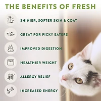 FRESHPET SELECT PLATS GRILLES RECETTE AU POULET ET BOEUF TENDRES POUR CHATS 454g