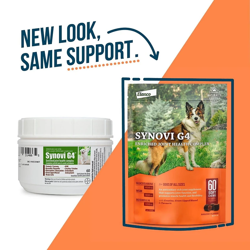 Synovi G4 Dog Joint Supplement Chews for Dogs of All Ages, Sizes and Breeds
