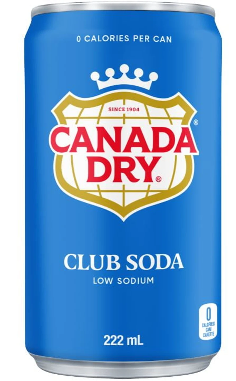 Soda club Canada DryMD - Emballage de 6 mini-canettes de 222 mL 222ml x 6