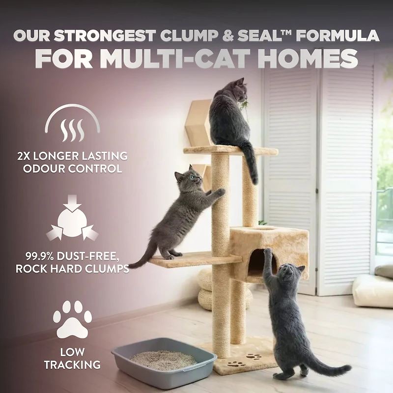 Arm & Hammer Platinum Clump & Seal Clay Cat Litter, Multi-Cat, Easy Clean up, Rock Hard Clumps, Odour Control, Dust Free, Value Size, 18.14kg