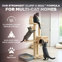 Arm & Hammer Platinum Clump & Seal Clay Cat Litter, Multi-Cat, Easy Clean up, Rock Hard Clumps, Odour Control, Dust Free, Value Size, 18.14kg