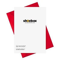 Hallmark Shoebox Pack of 4 Funny Valentine's Day Cards (Cats Don’t Care)