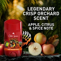 Old Spice Anti-Perspirant Deodorant for Men, Bearglove, 73 g