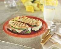 Hamilton Beach Panini & Grill