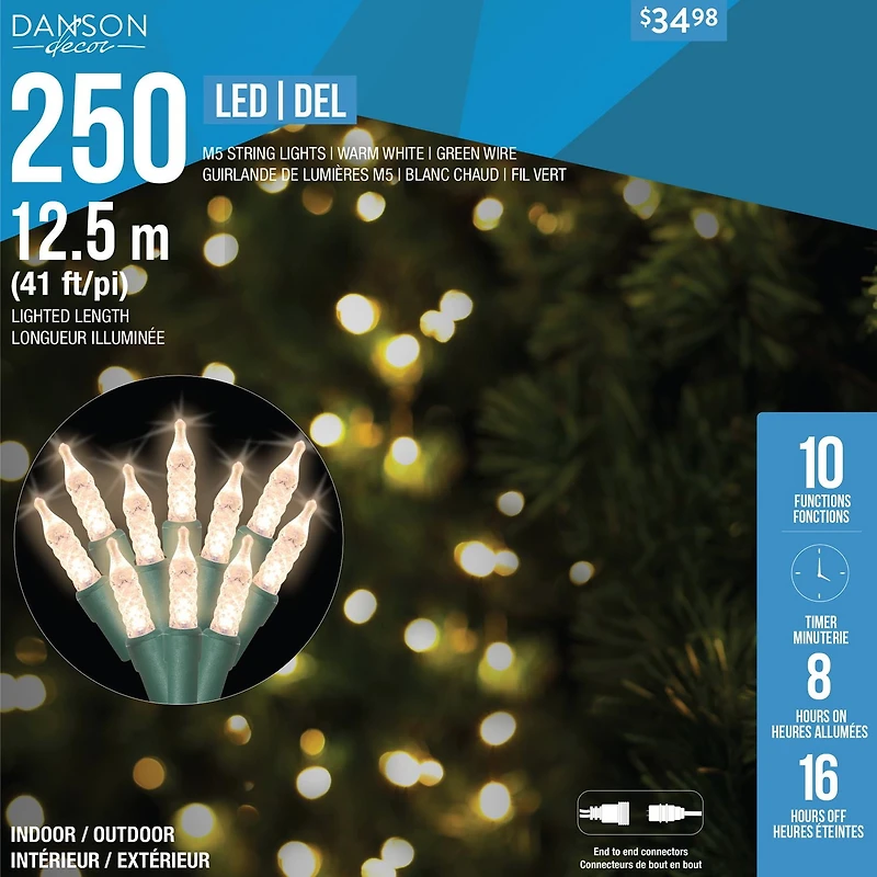 250 FACETTED M5 LED LIGHTS, IN/OUT,10 FUNCTIONS W/TIMER& ADAPTOR, GREEN WIRE, WARM WHITE, 250 FACETTED M5 LED LIGHTS