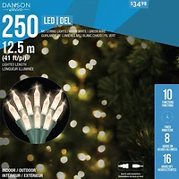 250 FACETTED M5 LED LIGHTS, IN/OUT,10 FUNCTIONS W/TIMER& ADAPTOR, GREEN WIRE, WARM WHITE, 250 FACETTED M5 LED LIGHTS
