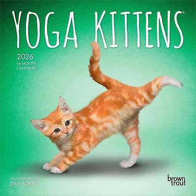 Yoga Kittens 2026 Mini 7x7