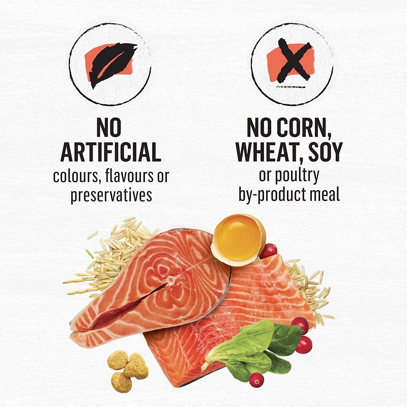 Beyond Simply Salmon & Whole Brown Rice Recipe, Dry Cat Food, 2.72 kg