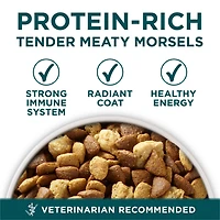 Purina ONE SmartBlend Formule pour Chiots de Grandes Races Poulet, Nourriture Sèche pour Chiens 7 kg 14 kg