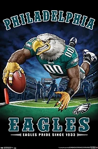 NFL Philadelphia Eagles - End Zone 17 Wall Poster