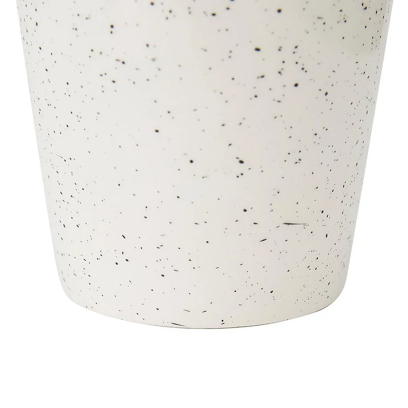 Anko Succulent in Pot