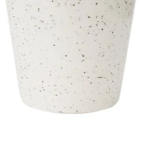 Anko Succulent in Pot