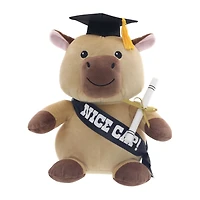 Peluche capybara de la promotion 2026, en coffret cadeau, par Way to Celebrate