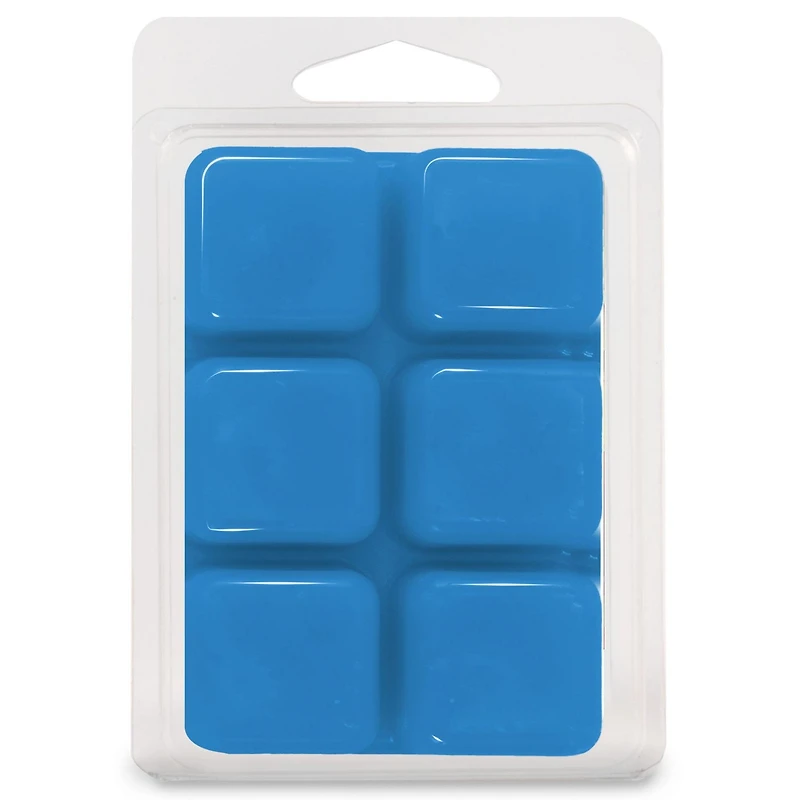 Cubes de cire parfumée Glace pilée arc-en-ciel de Scentsationals 2,5 fois (70,9 g)