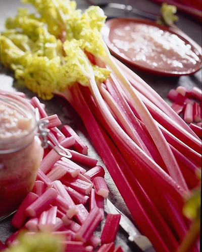 Rhubarb Victoria, Rhubarb Victoria 1 Bulb