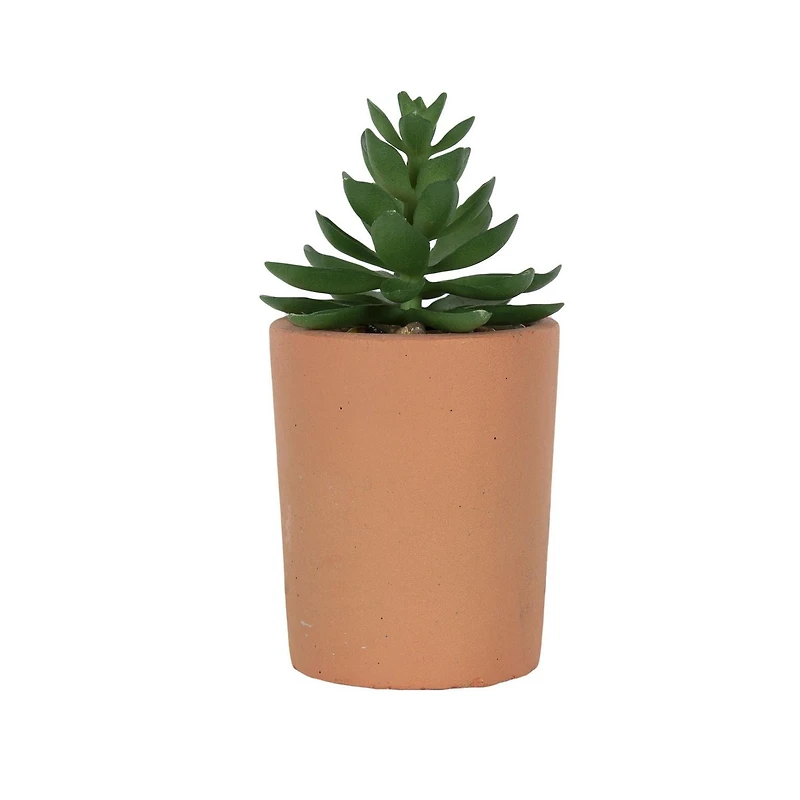 Mantu Tall Terracotta Succulent