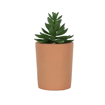 Mantu Tall Terracotta Succulent