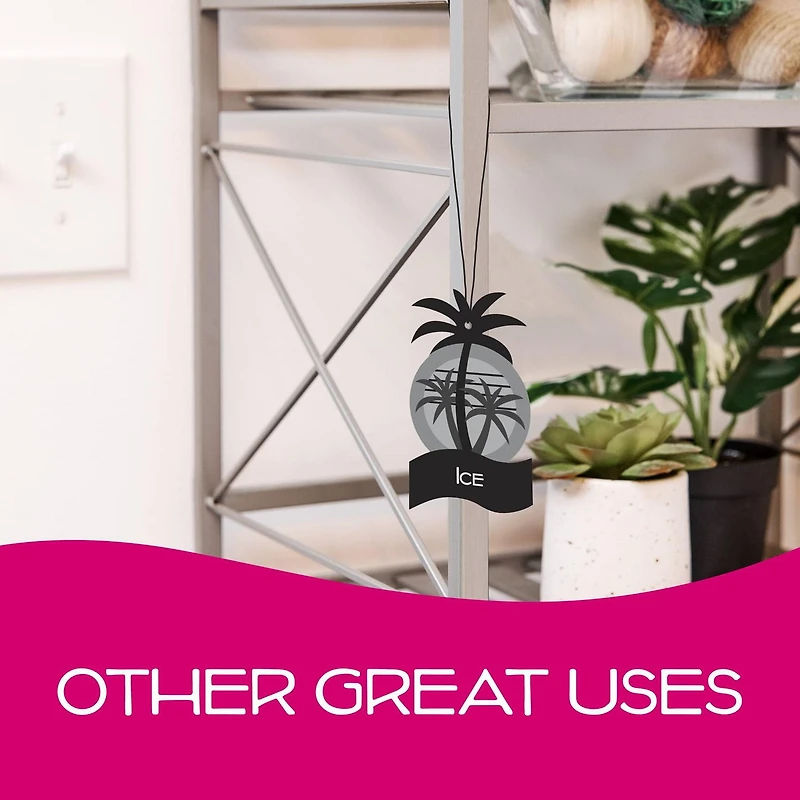 Assainisseur d’air en papier California Scents (parfum Givre, emballage de 4 Assainisseur d’air en papier (